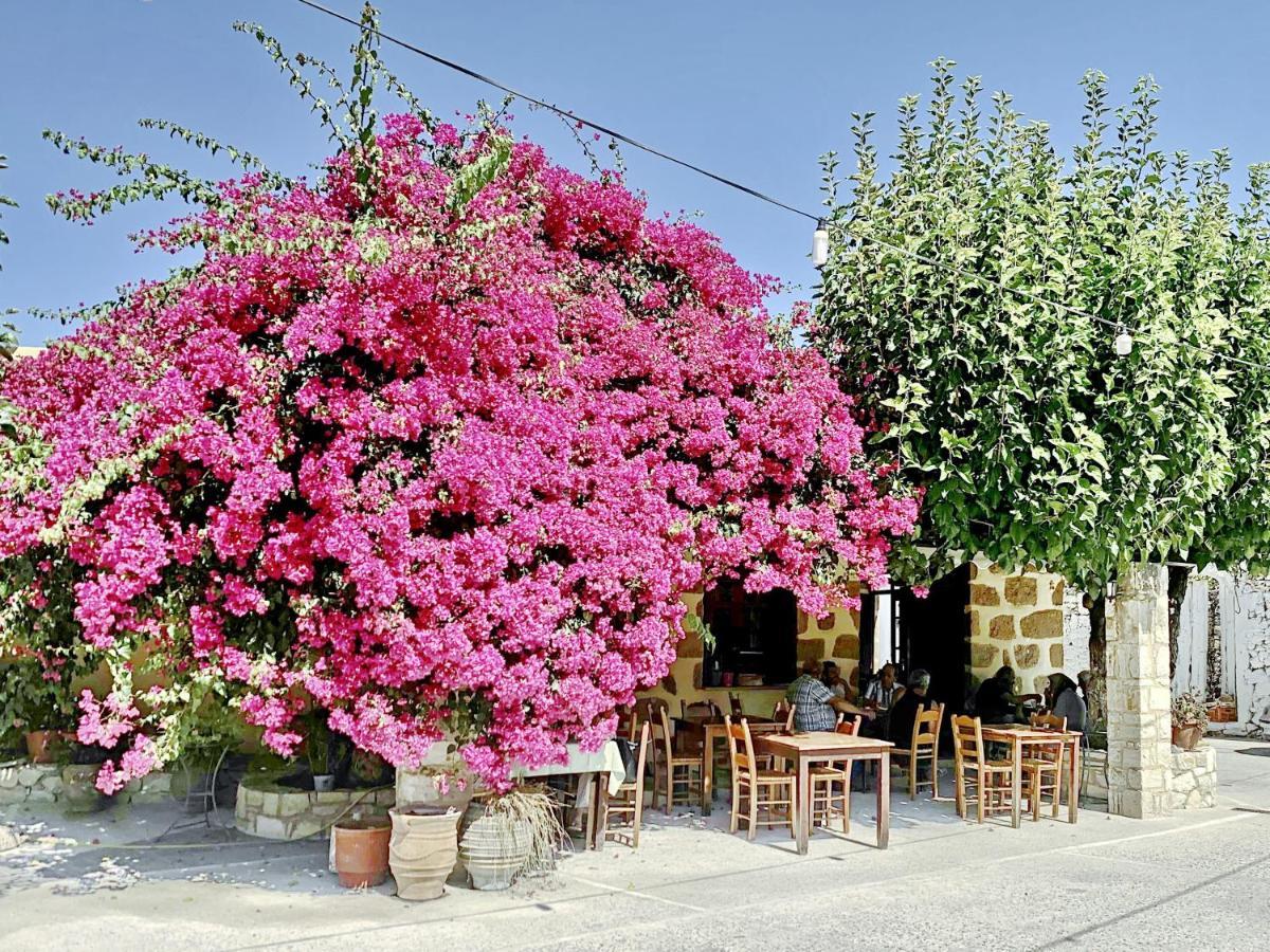 Villa Artemis Vryses Crete Alikampos Exterior photo